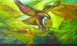 Eagle Painting - Eagle in flight by Yasmin Buckman