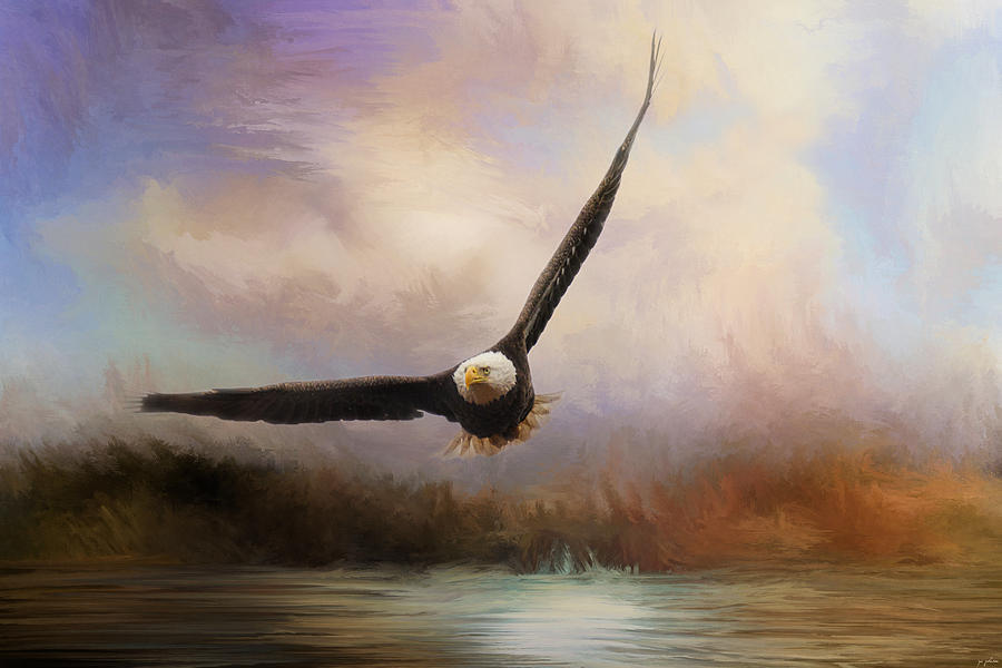 Eagle Photograph - Eagle In The Marsh by Jai Johnson