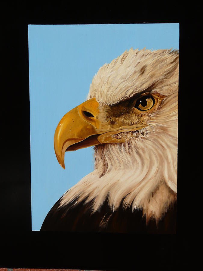 Eagle Painting by Judith Hoof van - Fine Art America