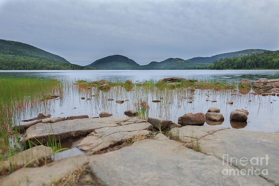Acadia National Park Photograph - Eagle Lake Acadia National Park by Elizabeth Dow