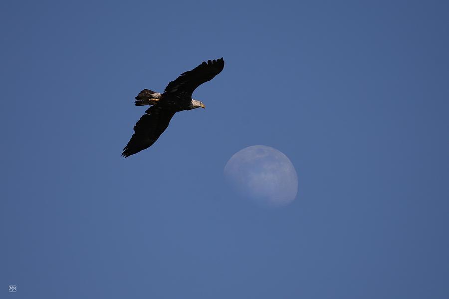 Eagle Moon Photograph by John Meader