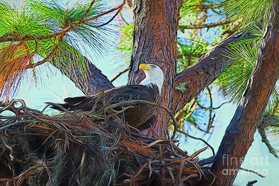 Eagle Painting - Eagle Nest Painterly by Deborah Benoit