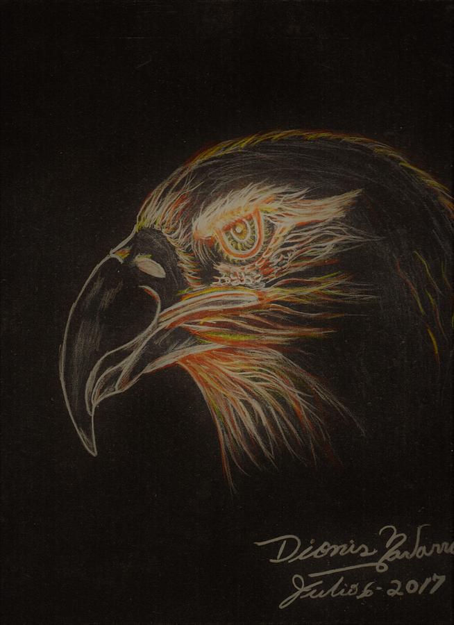 Eagle Of Fire. Drawing by Dionis Navarro | Fine Art America