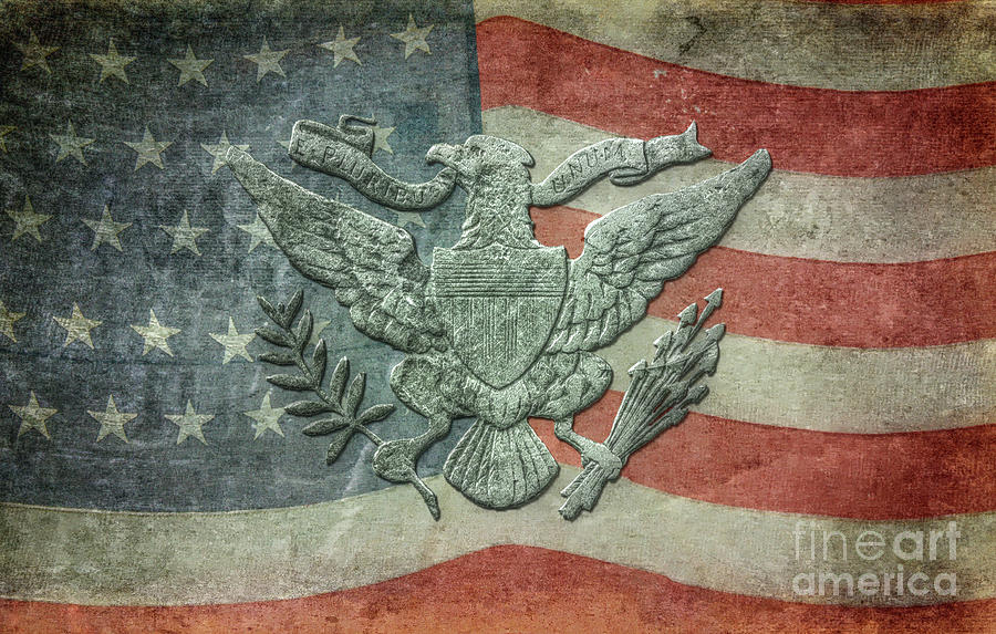 Eagle on American Flag Digital Art by Randy Steele