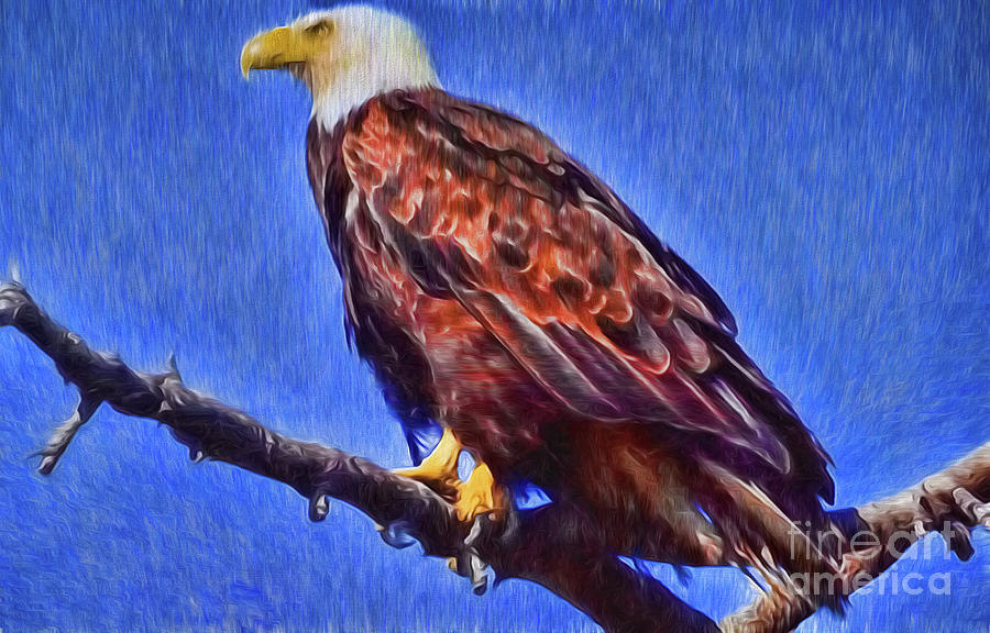 Eagle On Branch Digital Art by Steven Parker