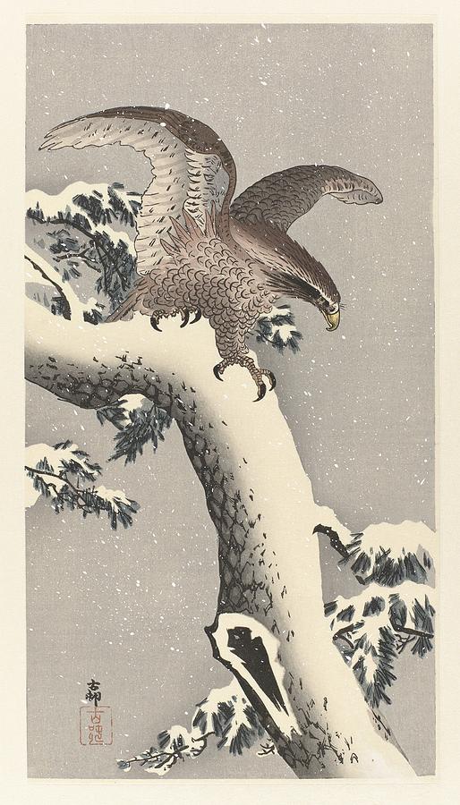 Eagle on snowy pine Painting by Celestial Images