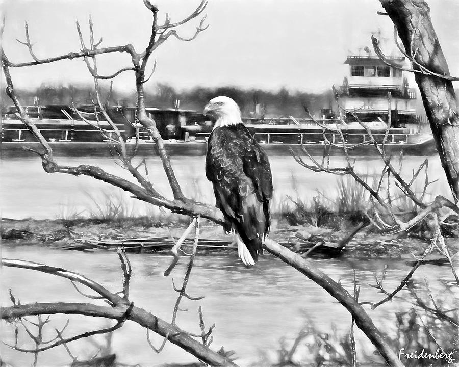 Eagle on the Illinois River Photograph by John Freidenberg