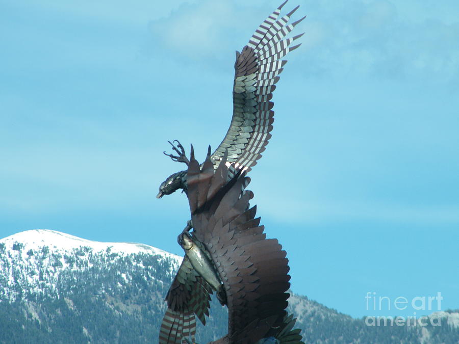 Eagle On The Mountain Photography BY Connie J Lee Photograph by Connie ...