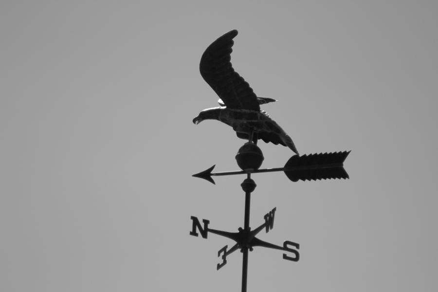 Eagle on Weathervane in Black and White Photograph by Colleen Cornelius