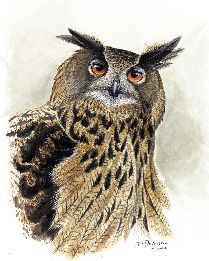 Owl Painting - Eagle Owl portrait  by Dag Peterson