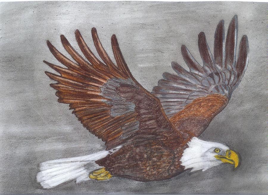Eagle Drawing - Eagle Passing Through The Storm On The Wings Of An Eagle by Don  Gallacher