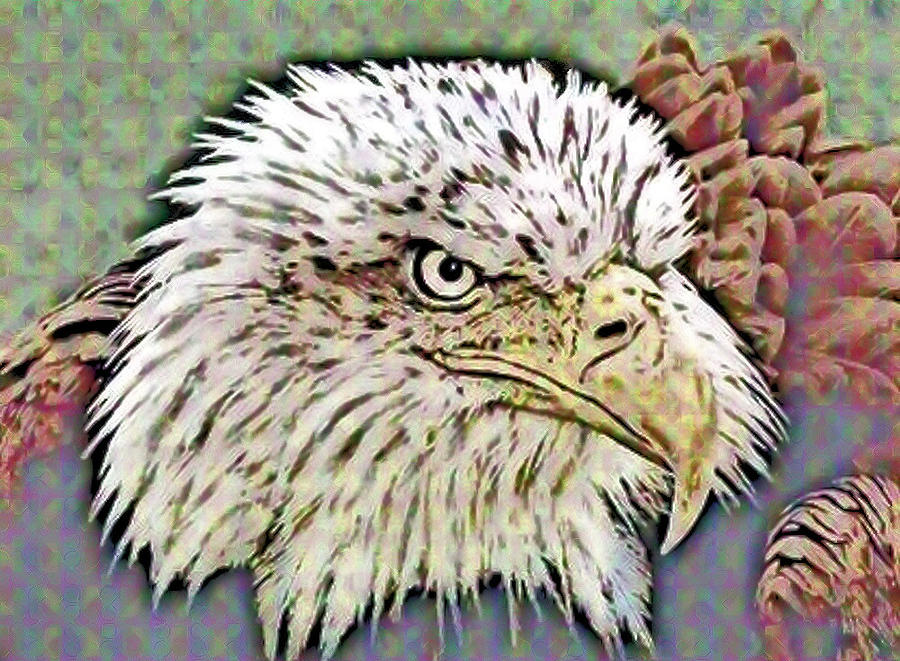 Eagle by Patricia Griffin Eagle by Patricia Griffin