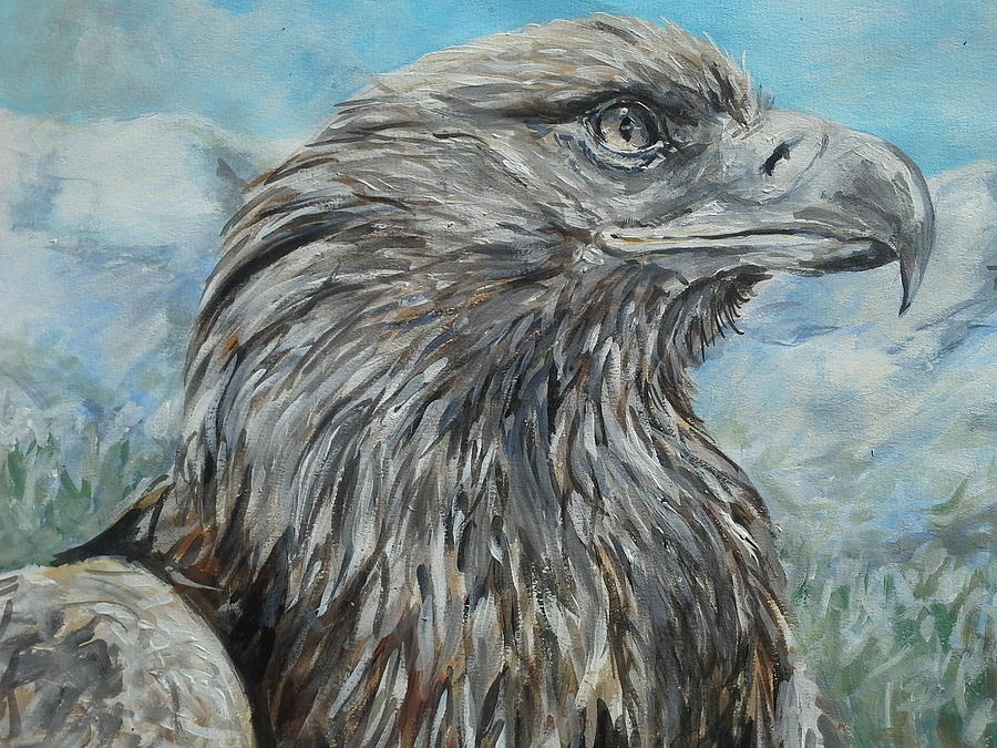 Bird Painting - Eagle portrait by Duncan Sawyer
