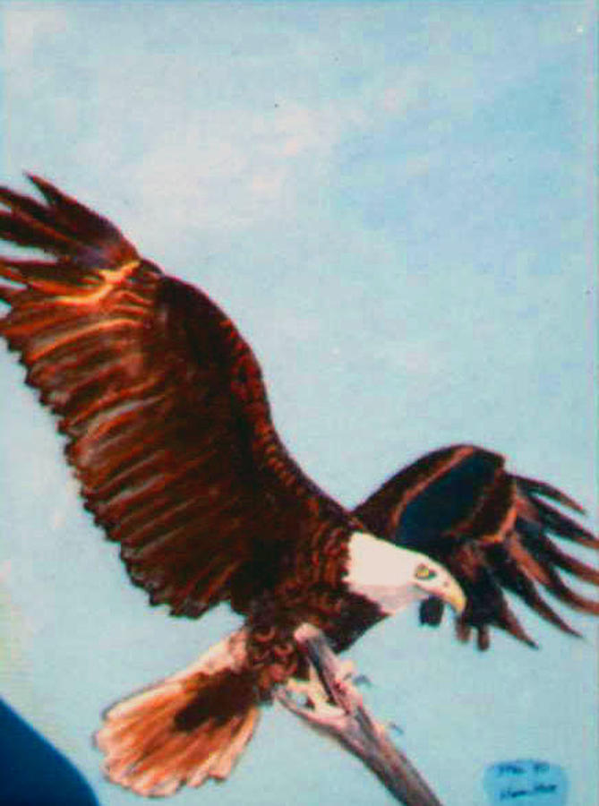 Eagle Ready for Flight Painting by Stan Hamilton