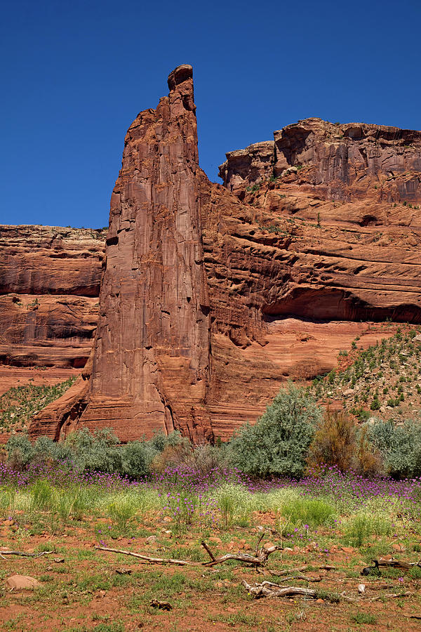 Eagle Rock - Standing Tall In The Canyon Photograph by Lucinda Walter