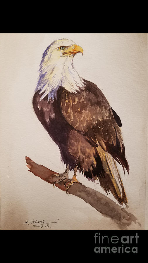 Eagle  Painting by Rose Wang