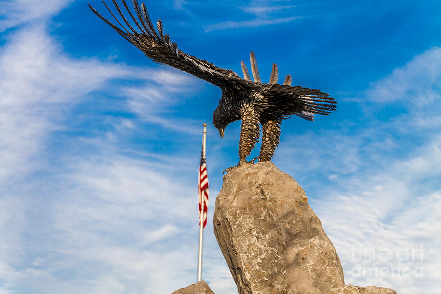 Eagle Salute Photograph by William Norton