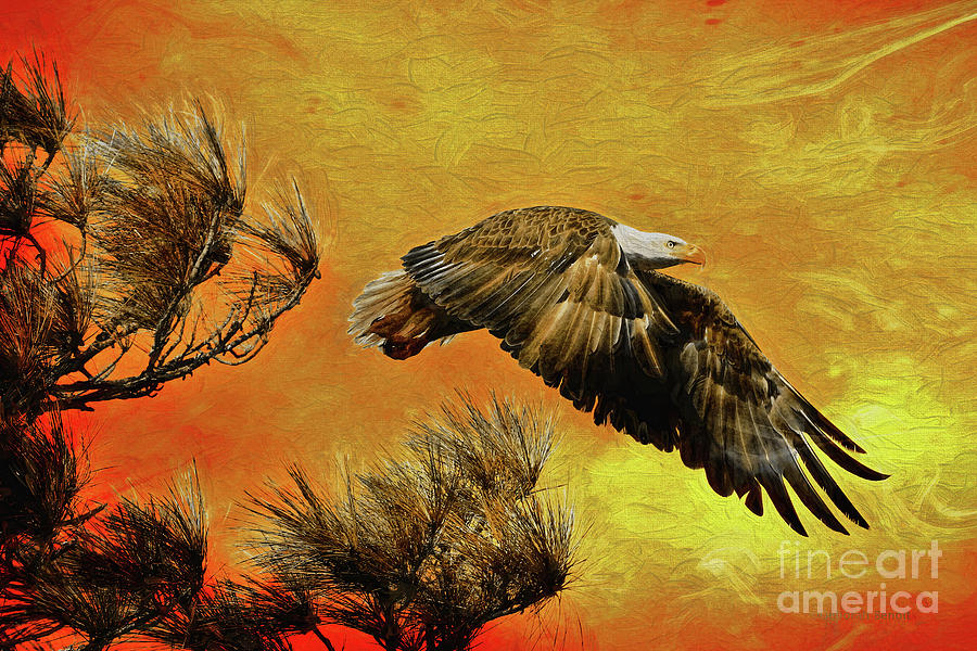 Eagle Painting - Eagle Series Strength by Deborah Benoit