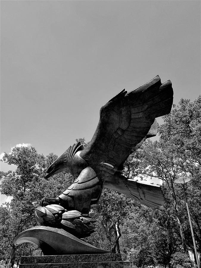 Eagle Statue B W Photograph by Rob Hans