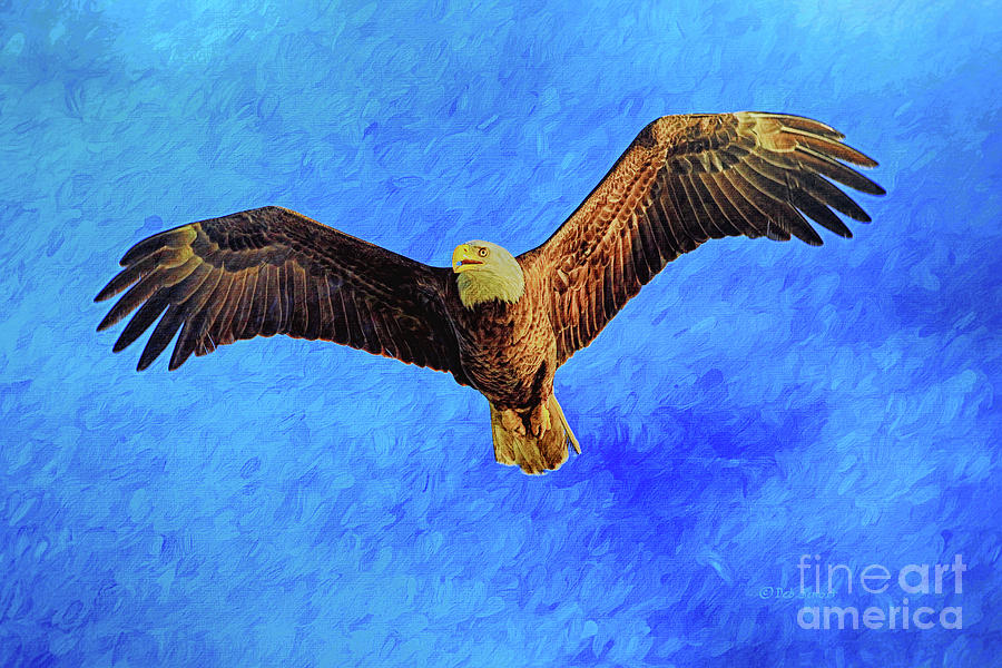Eagle Painting - Eagle Strength and Spirit by Deborah Benoit