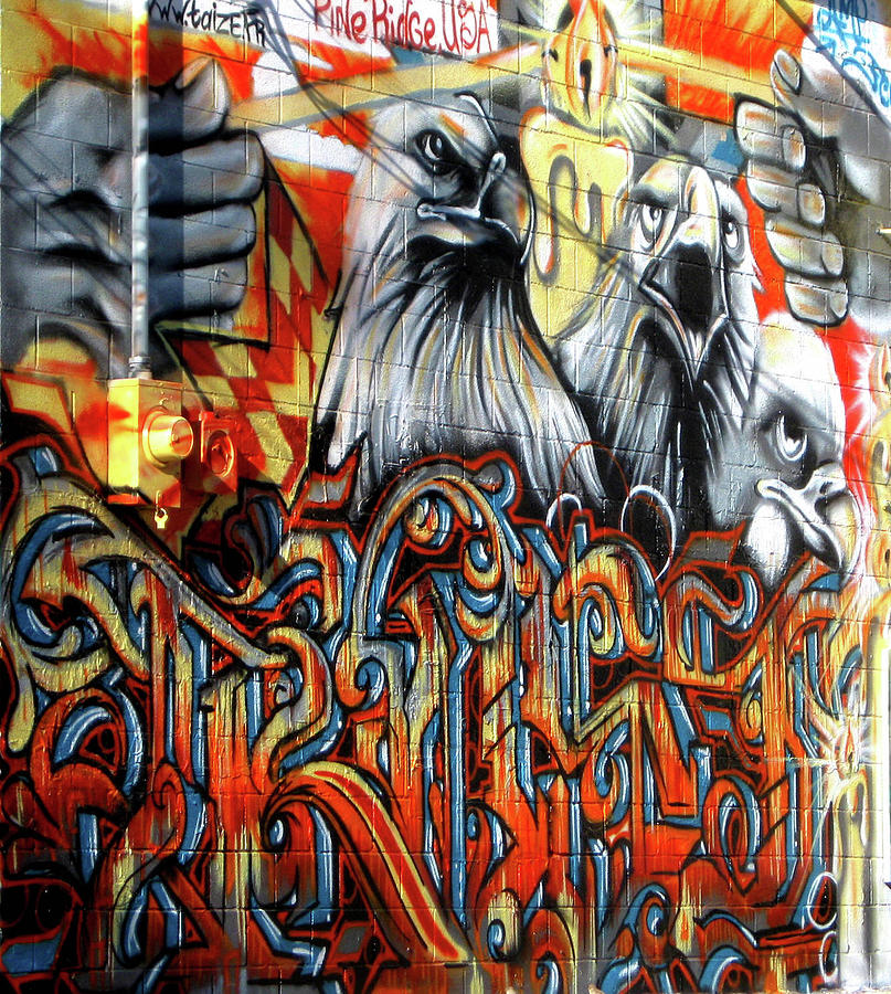 Eagle Wall Graffiti Photograph by Nadalyn Larsen