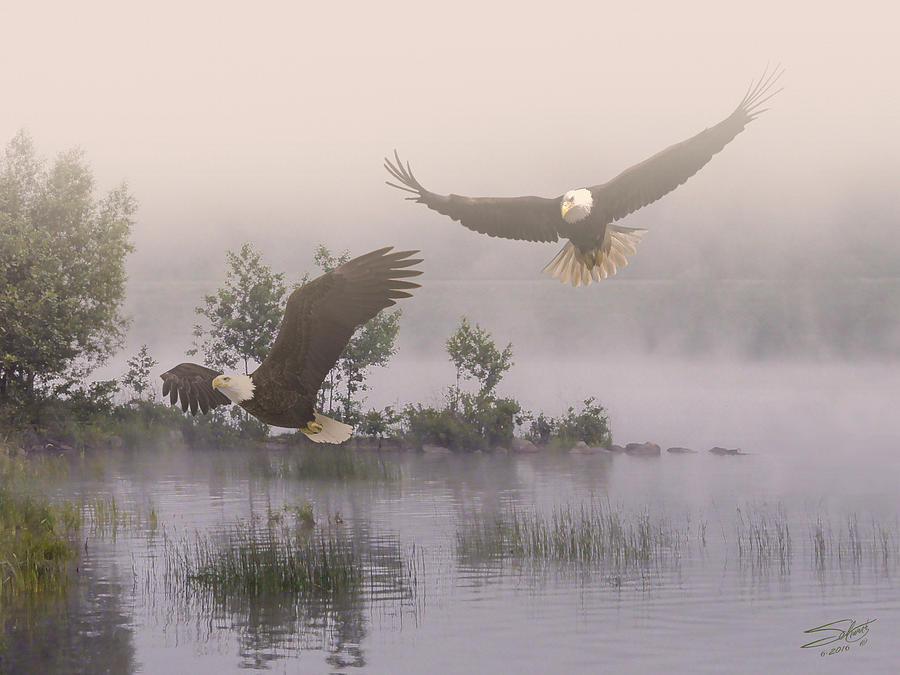 Eagles at Dawn Digital Art by M Spadecaller