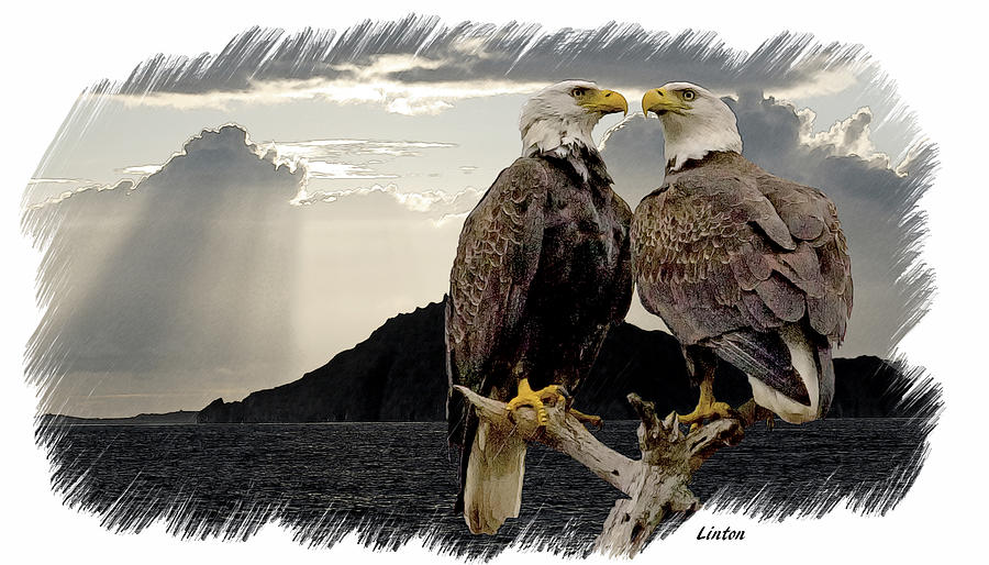 Eagles At Dawn  Digital Art by Larry Linton