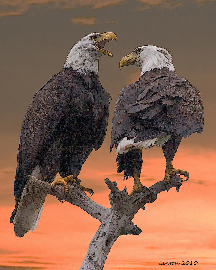 Eagle Digital Art - Eagles At Sunrise by Larry Linton