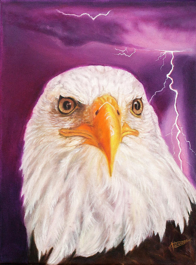 Eagle Painting - Eagles Eyes by Jeanette Sthamann