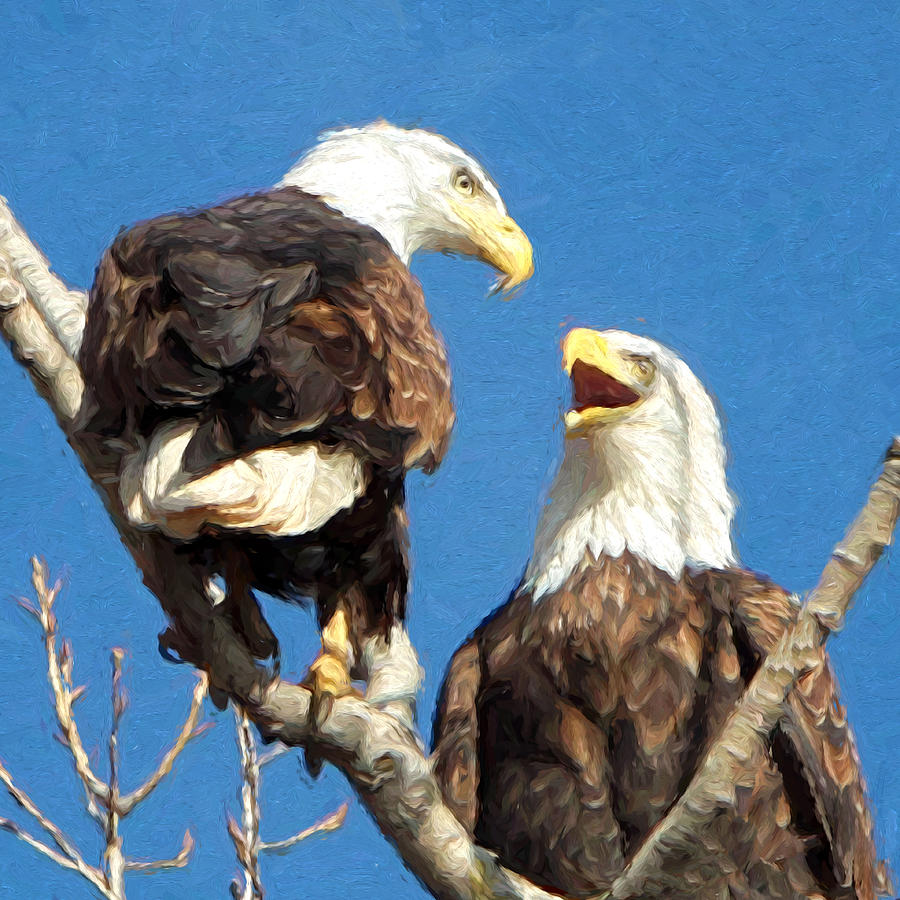 Eagles - Grafton, Illinois Photograph by John Freidenberg