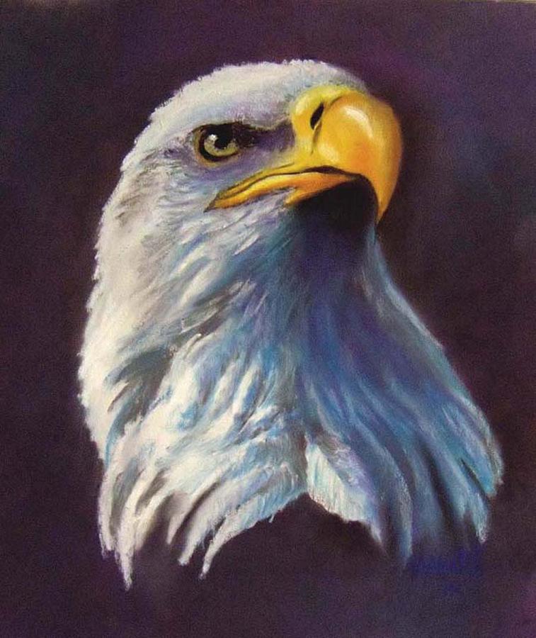 Bird Pastel - Eagles head-2 by Marcus Moller