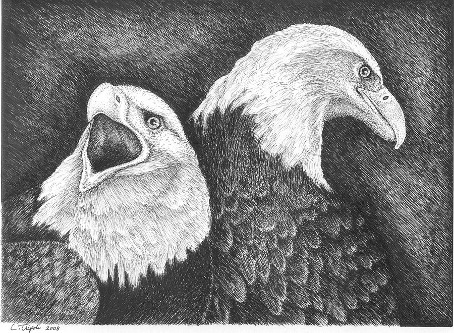 Eagles in Ink Drawing by Lawrence Tripoli