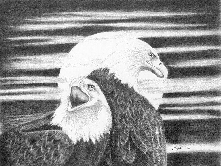 Eagles Drawing by Lawrence Tripoli