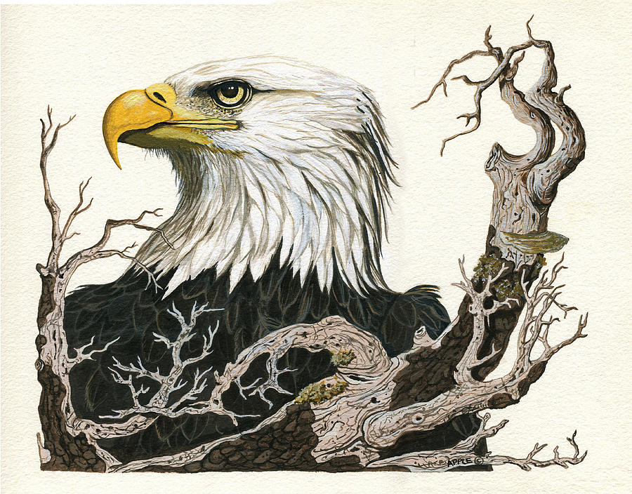 Eagles View - wildlife painting Painting by Linda Apple
