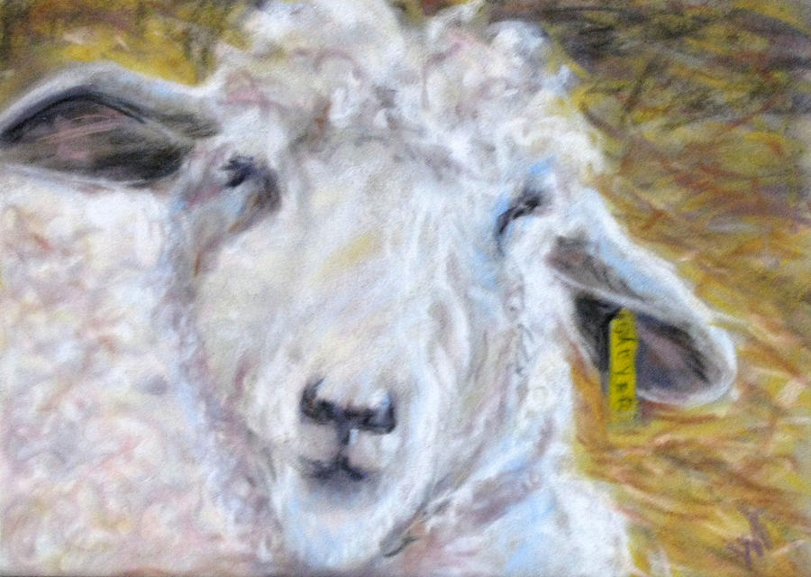 Sheep Pastel - Ear Tag by Wendie Thompson