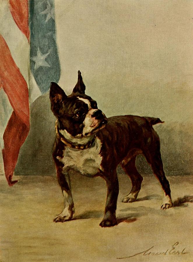 Boston Painting - Earl, Maud 1864-1943 - The Power of the Dog 1910 Boston Terrier by Maud Earl