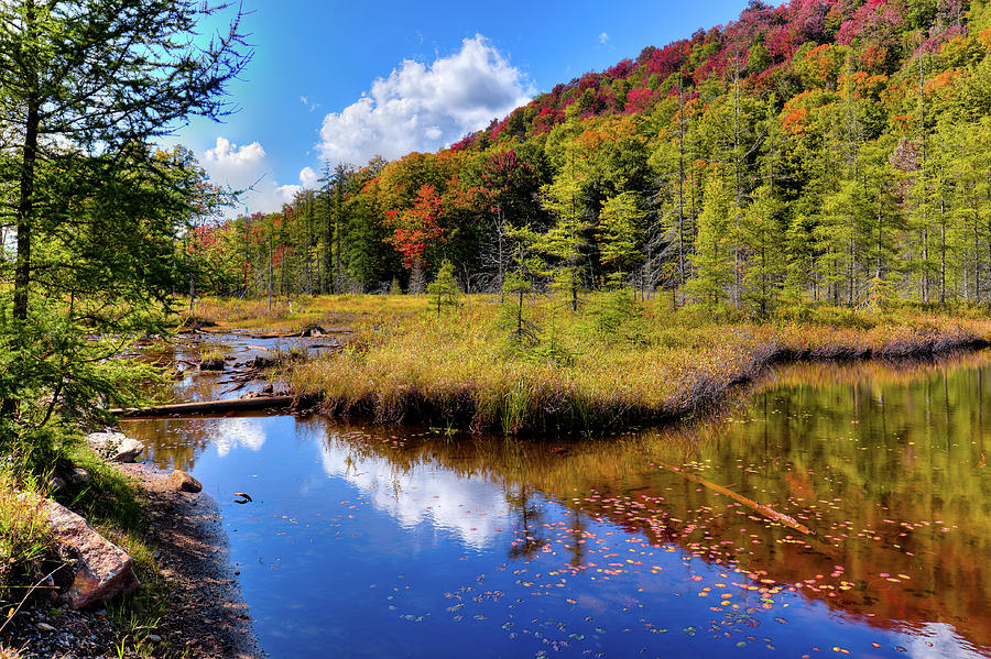 Landscape Photograph - Early Autumn at Bald Mountain Pond by David Patterson