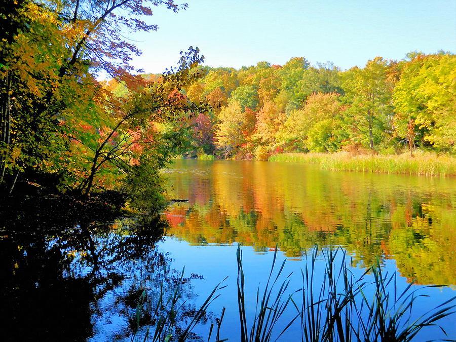 Early autumn color 4 Painting by Jeelan Clark - Fine Art America