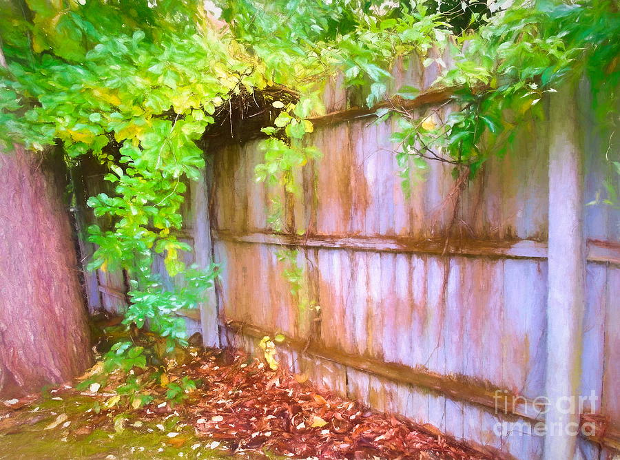 Early Autumn Fence And Vines Mixed Media