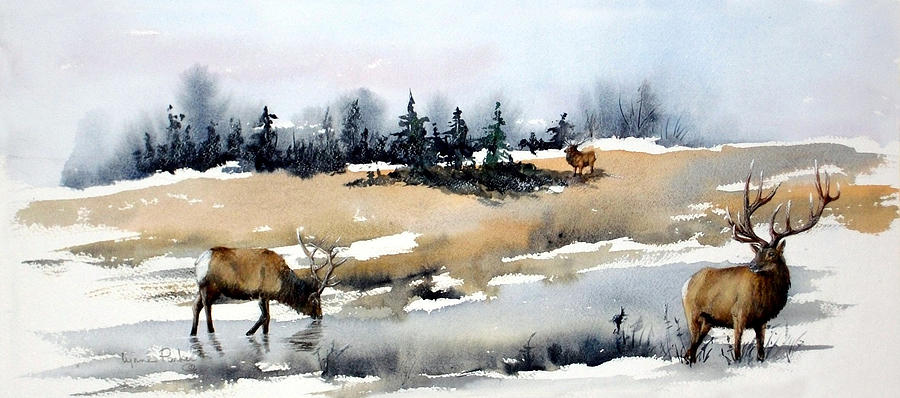 Elk Painting - Early Autumn by Lynne Parker