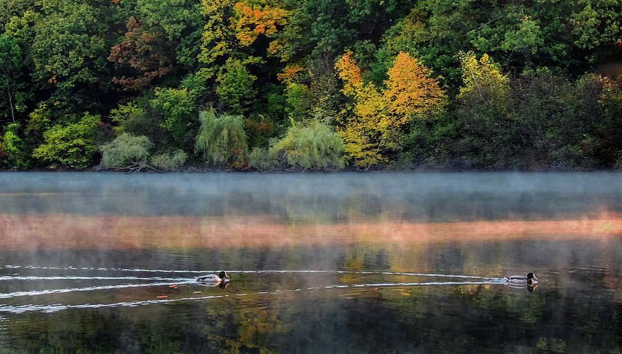 Early Autumn Morning at Longfellow Pond Photograph by Robert Mitchell