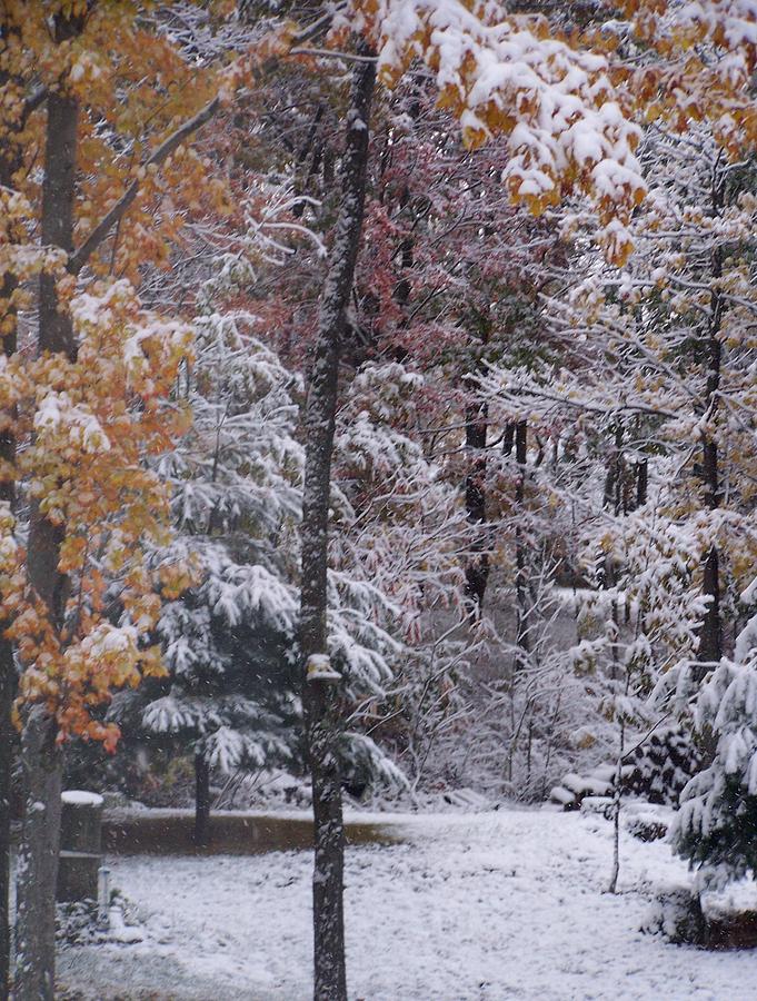 Early Autumn Snowfall Photograph by Lila Mattison