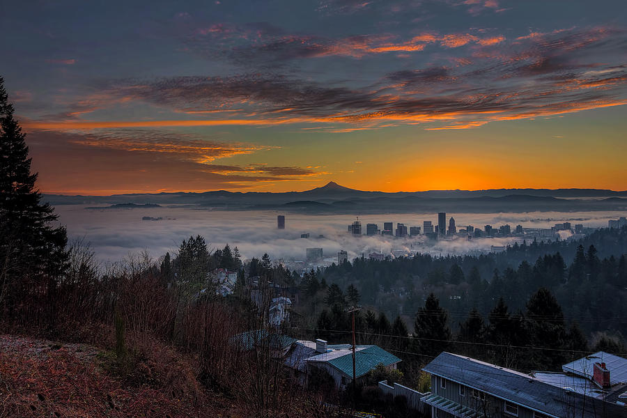 Sunrise Photograph - Early Bird Special by David Gn Sunrise Photograph - Early Bird Special by David Gn