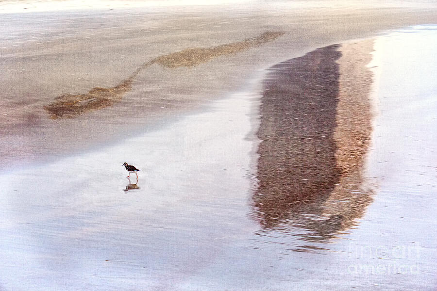 Early Bird Stroll Digital Art by Georgianne Giese