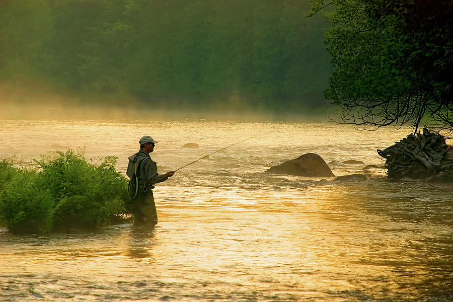 Early Bite Photograph by Tony Beaver - Fine Art America