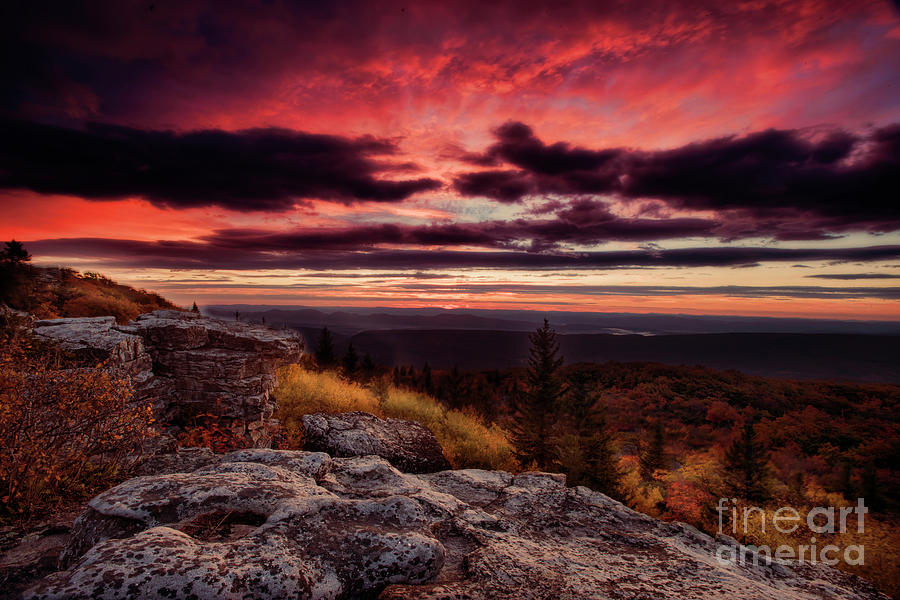 Early day at Bear Rocks Dolly Sods WV Photograph by Dan Friend