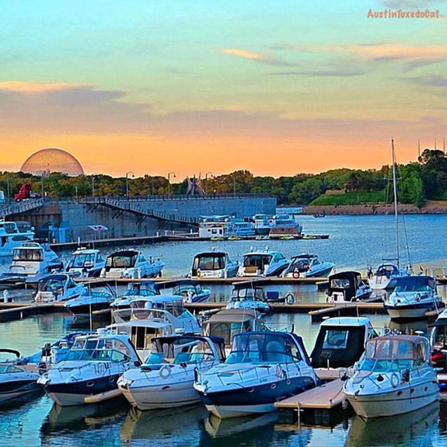 Sunset Photograph - Early #evening At The Old #port Of by Austin Tuxedo Cat