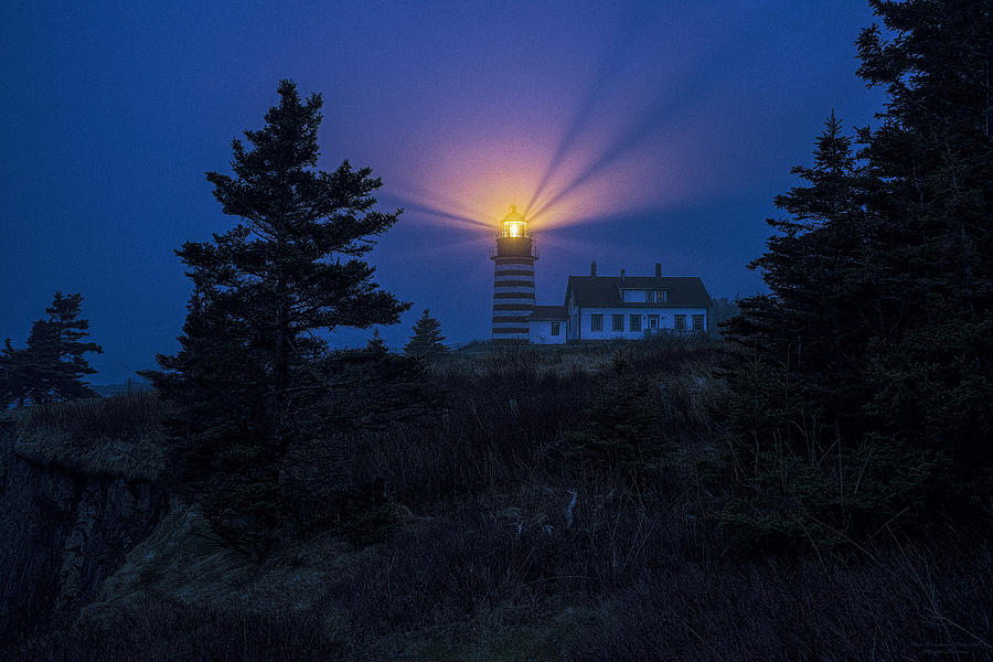 Lighthouse Photograph - Early Evening Fog at West Quoddy Head Lighthouse by Marty Saccone