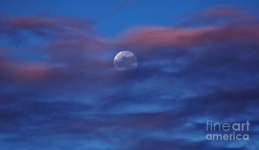 Early Evening Moon Photograph by Craig Wood
