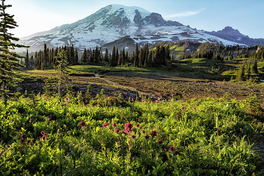 Early Evening on Mount Rainier Photograph by Belinda Greb